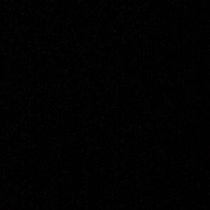 Meet your Posher, Eileen